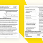 Public Service Loan Forgiveness Income Based Repayment Form