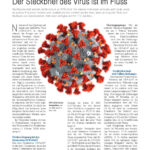 Coronavirus PSLF