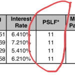 My Fed Loan PSLF Issues