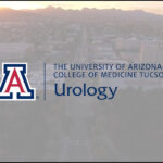 University Of Arizona PSLF Program