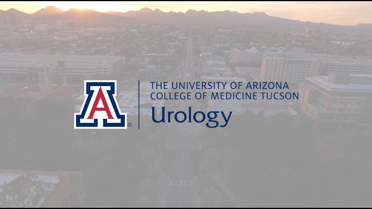 University Of Arizona PSLF Program